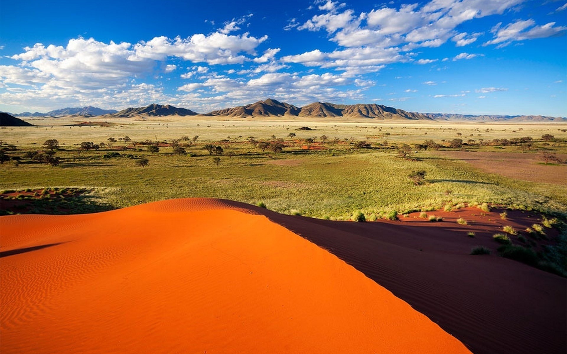 Самая крупная пустыня на земле. Намибия пустыня Намиб. Африканская пустыня Намиб. Равнина Намиб. Намибия Саванна.