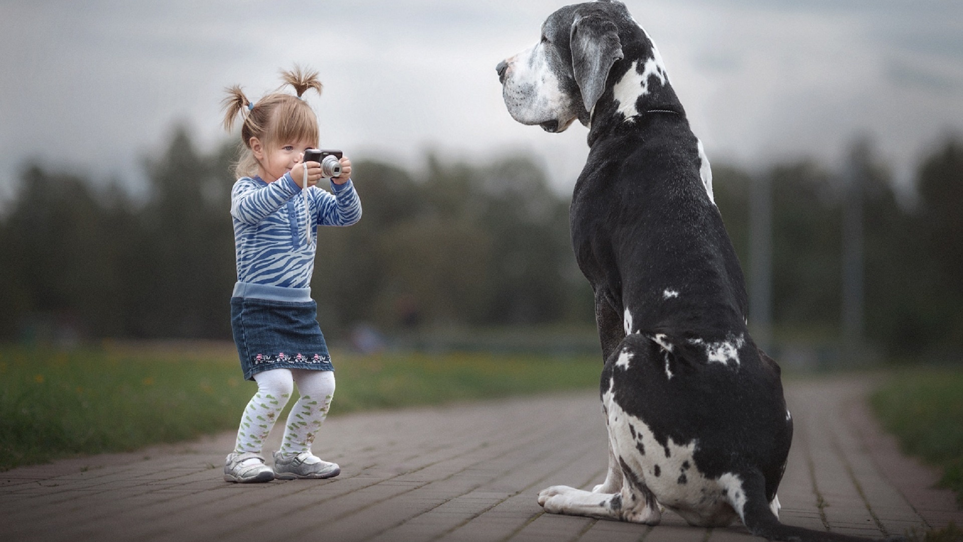 Человек ребенок собака. Энди Селиверстов фотограф. Собака для детей. Дети и большие собаки.