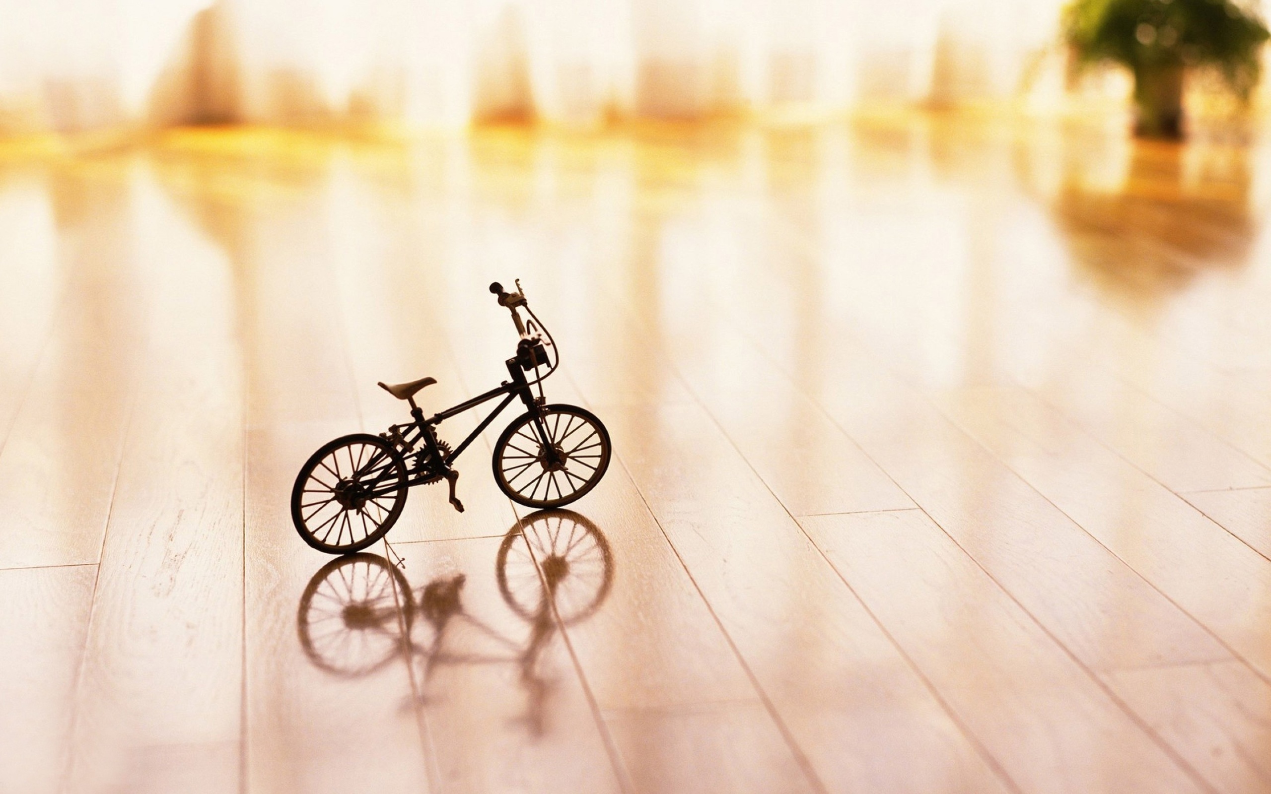 Вело тин. Велосипед. Велосипед обои. Красивые велосипеды. Велосипед на красивом фоне.