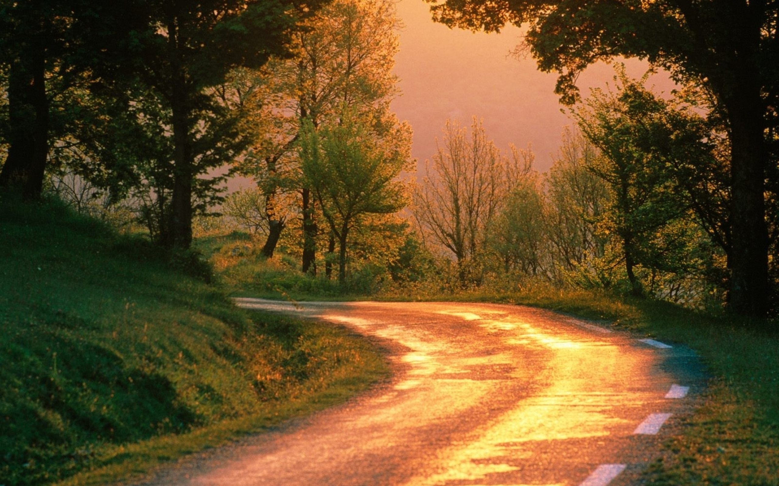 Песни дорога к счастью. Солнечная дорога. Сельская дорога. Тропинка к счастью. Дорога путь.