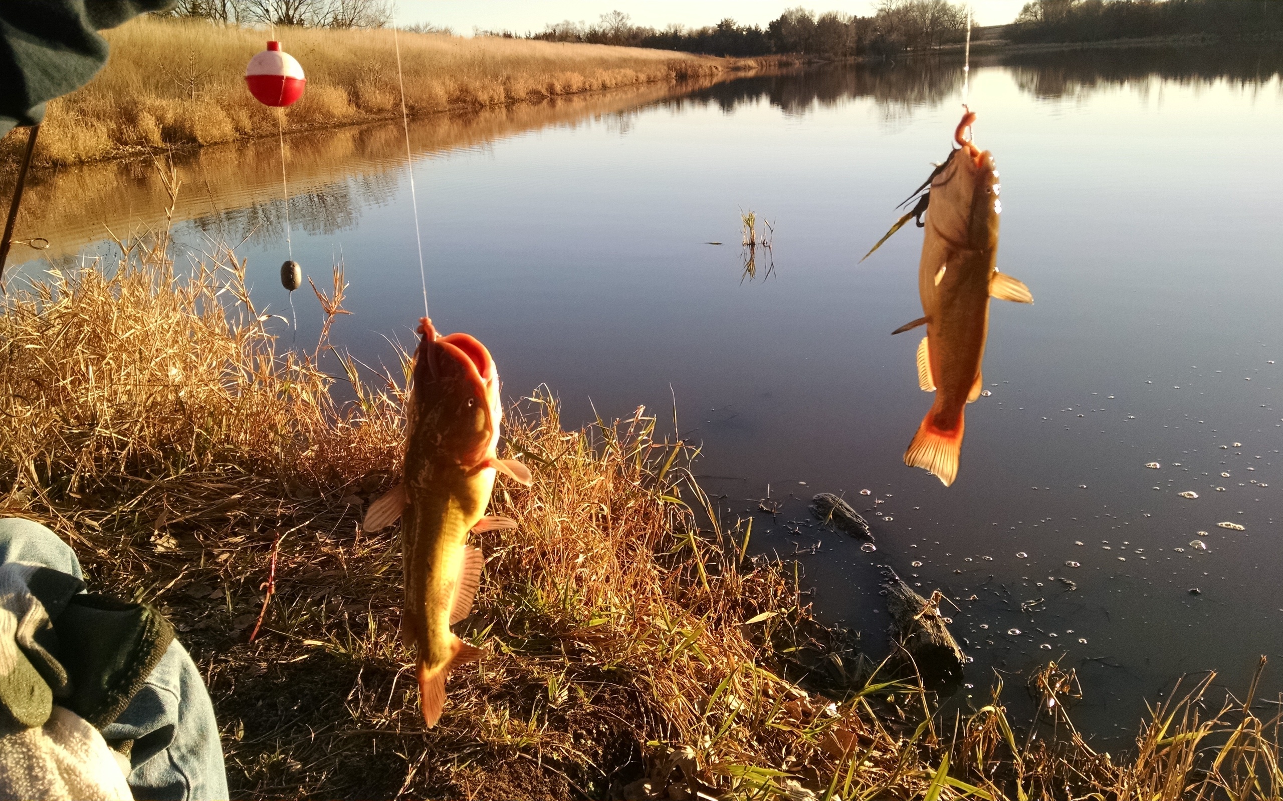 Лов рыбы на озерах