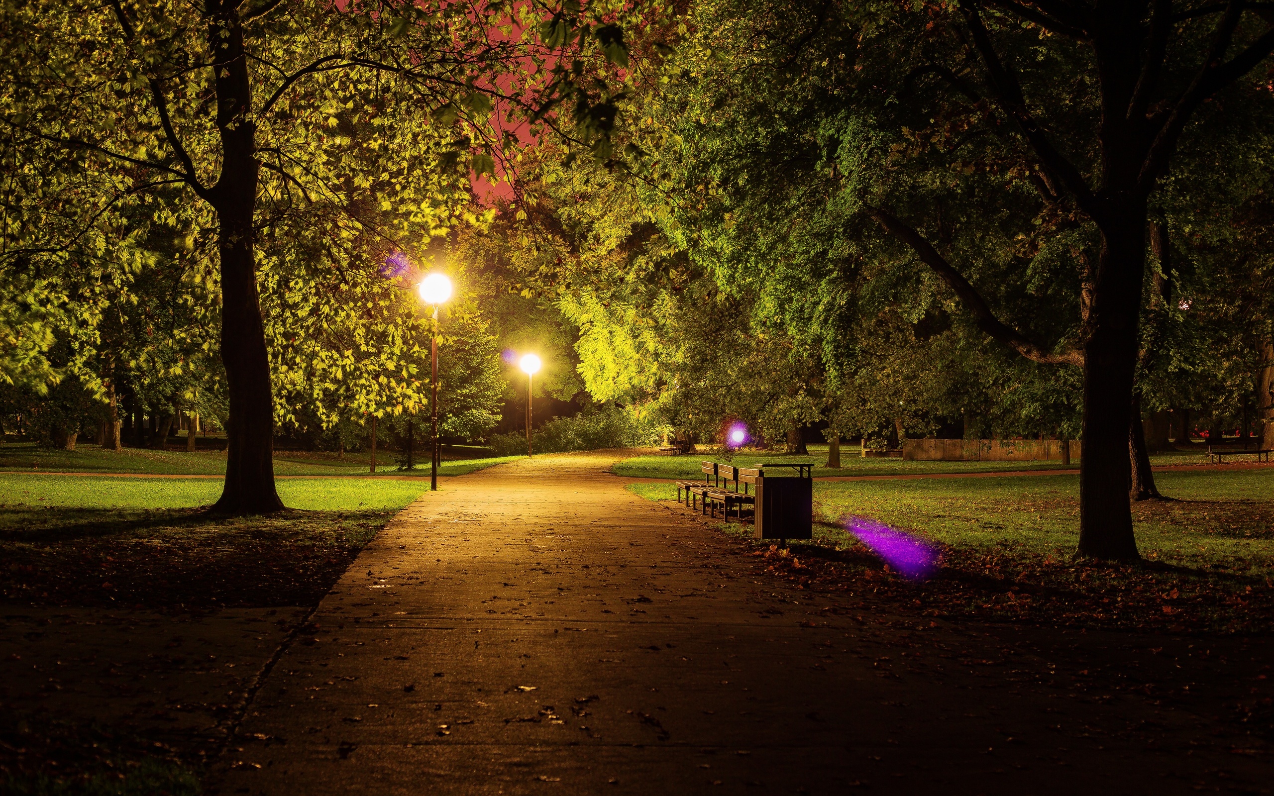 Вечером через парк. Тропаревский парк ночью. Новотроицк городской парк ночью. Парк вечером. Летний вечер в парке.