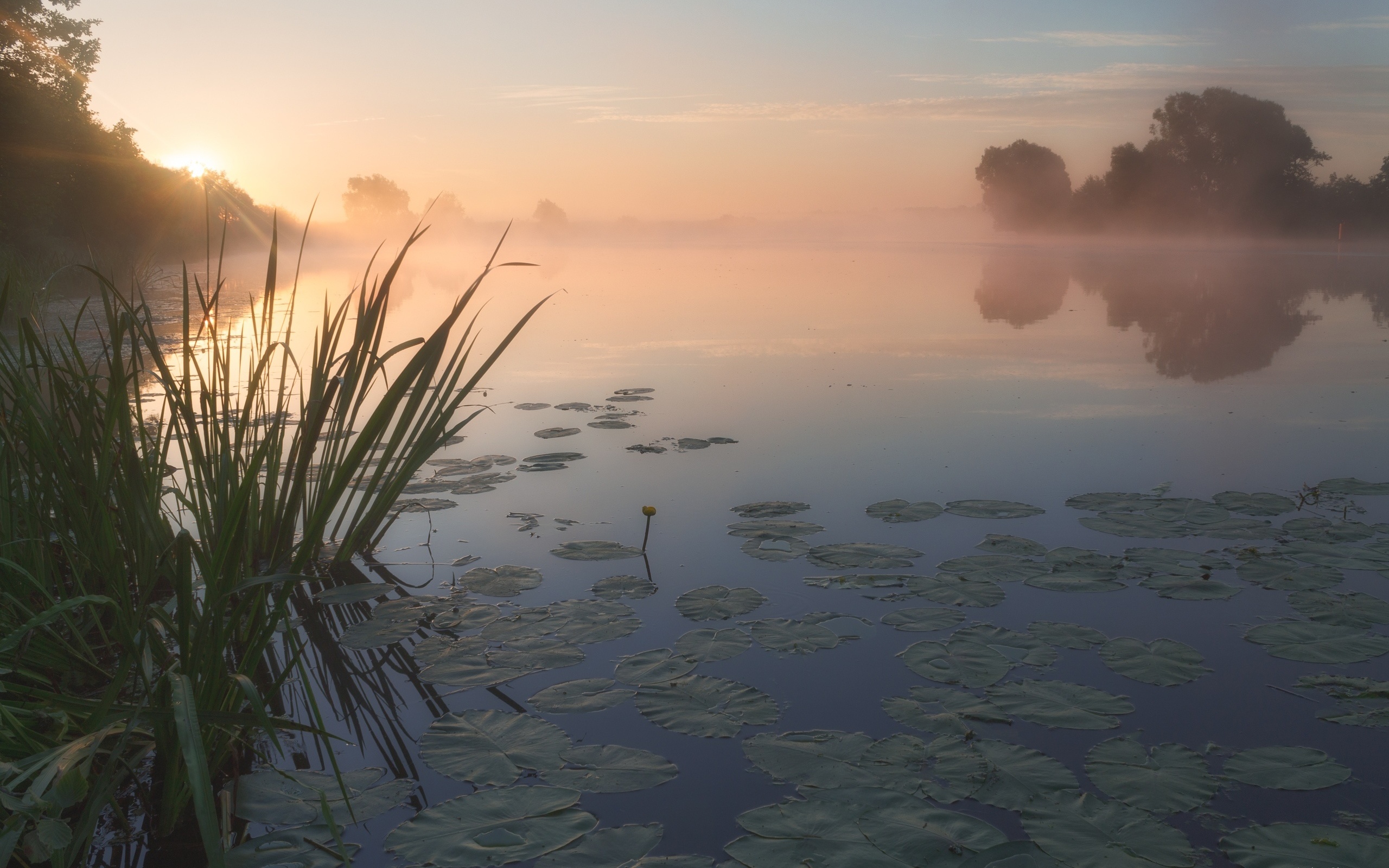 Купаться туманы. Туман на реке. Утренний туман над озером. Туманное утро на озере. Туман над водой.