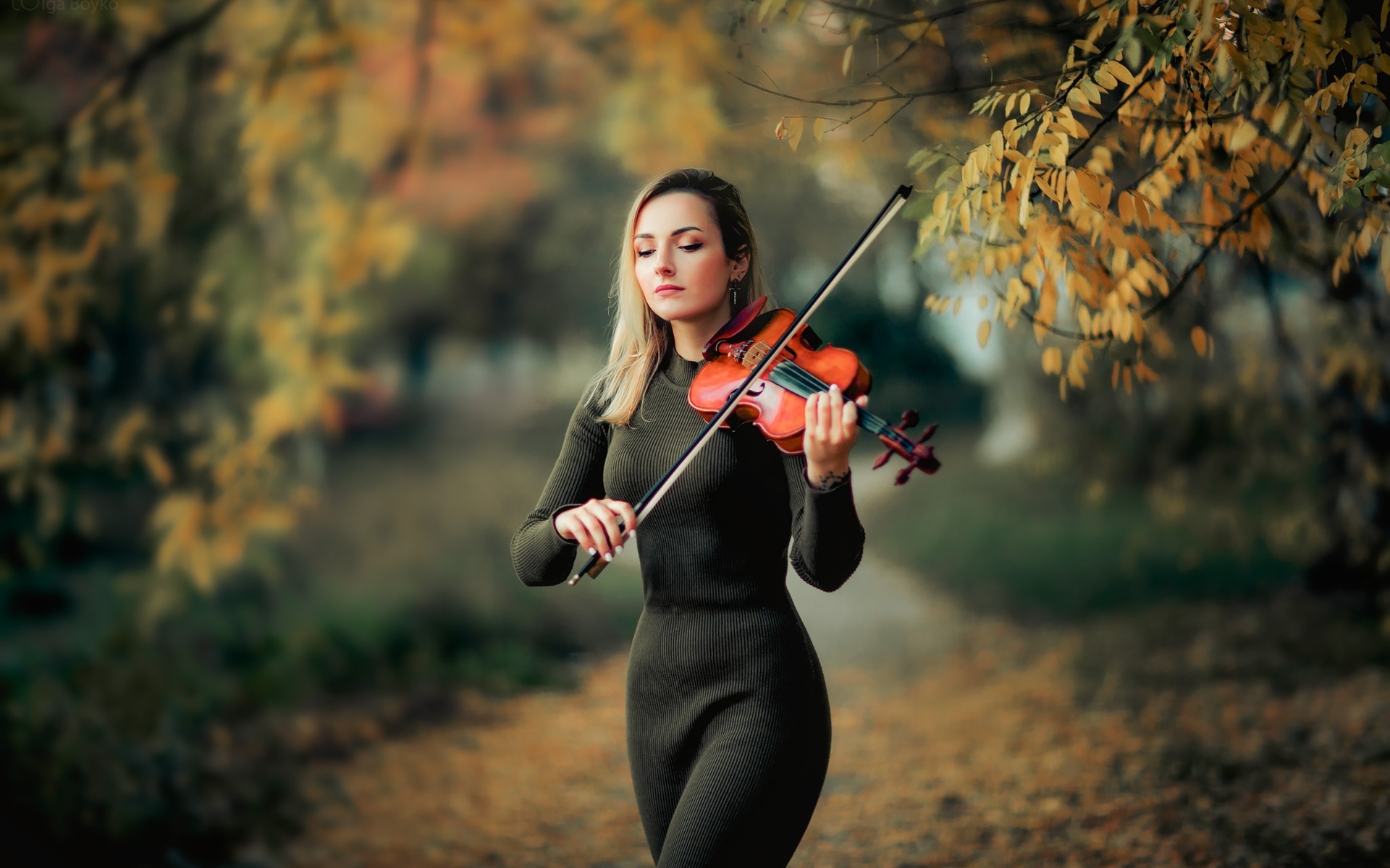 Образ скрипки