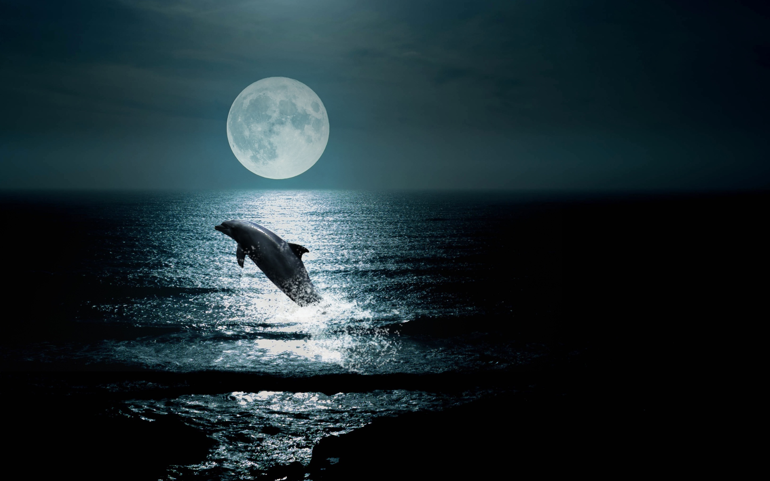 Песни луна дельфины. Луна и море. Ночь Луна море. Дельфины в море. Дельфины ночью.