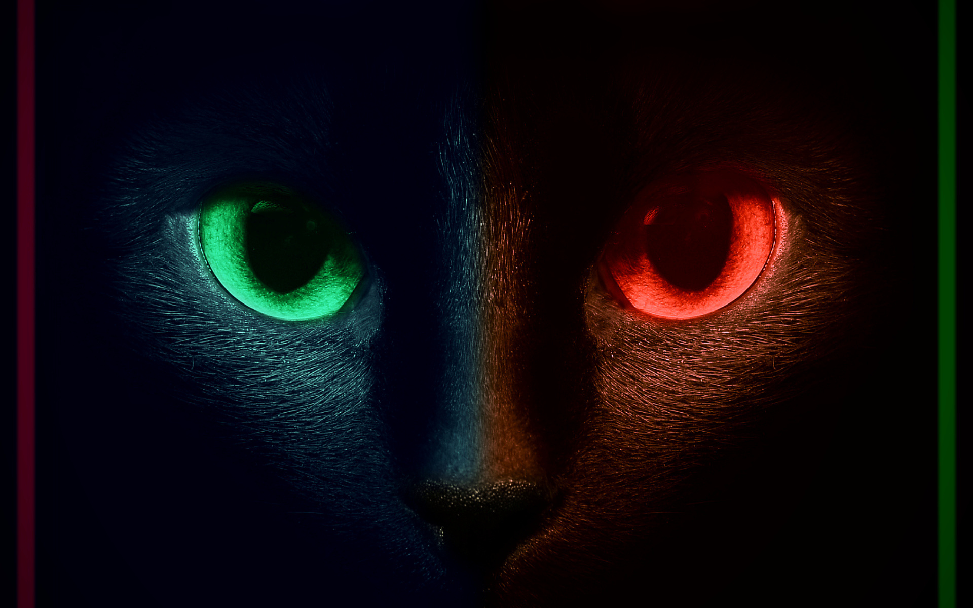 фанфик глаза пантеры светятся в ночи фото 102