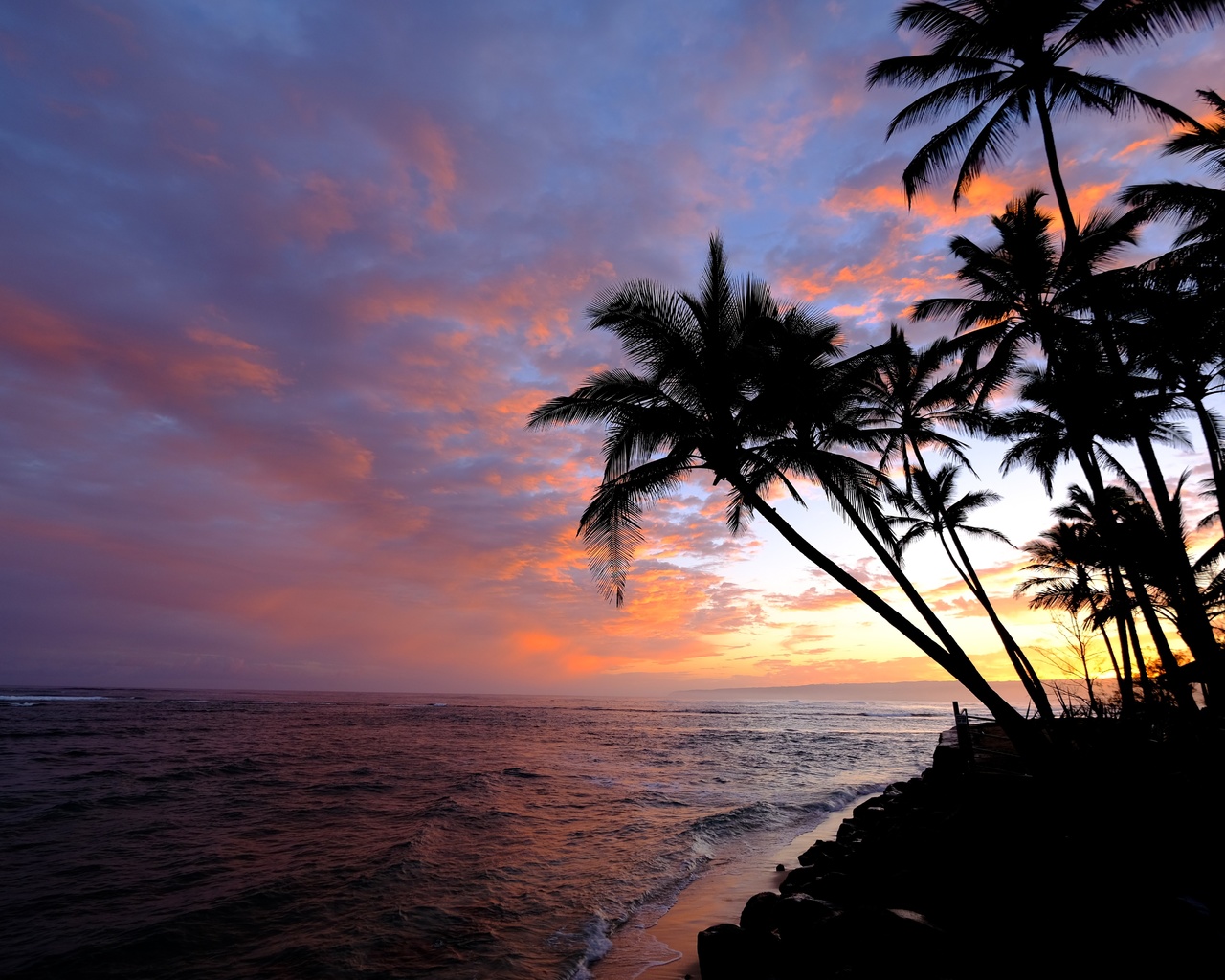 Mixed island. Море пальмы. Гавайи закат пальмы океан. Картинки на рабочий стол море пальмы. Картинки пальмы закат.