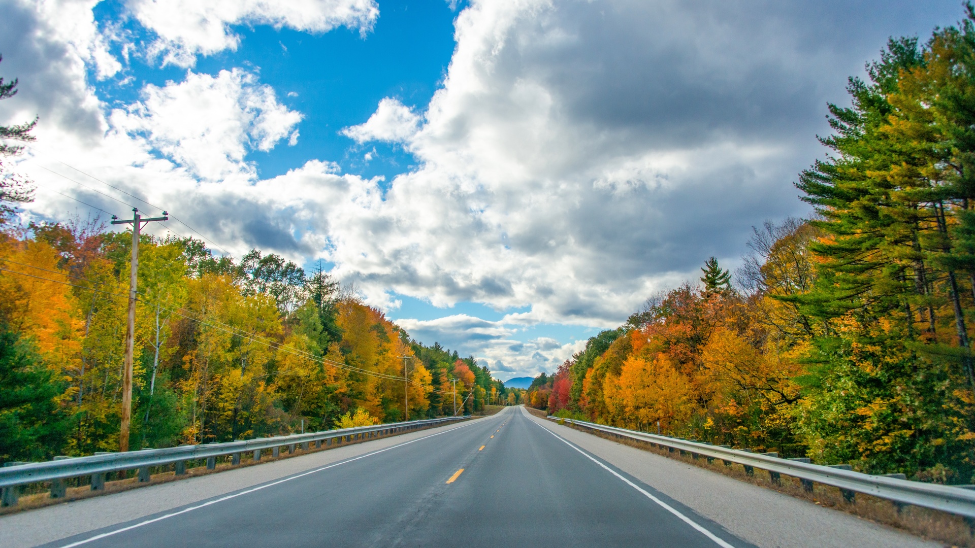 М5 асфальт осень. Дорога осень асфальт. Осеннее шоссе фото. Фото шоссе с лесом с боку.