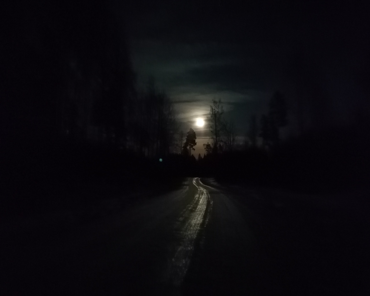 Дорога в ночь слова