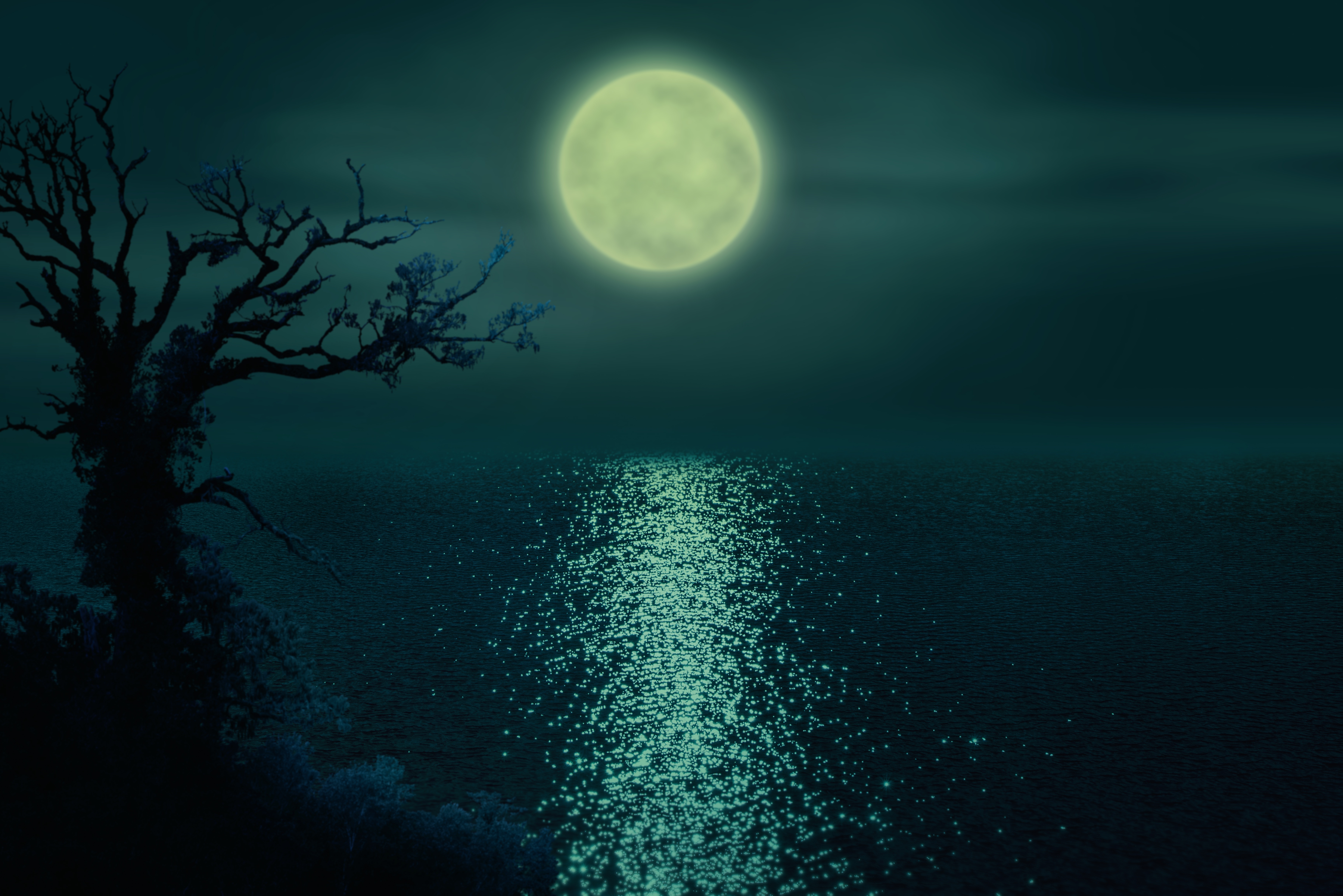 Лунная ночь. Лунный свет. Ночь в море. Ночное море. Тень под водою песня