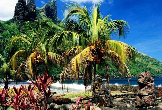 бананы, пальмы, камни, тропические острова