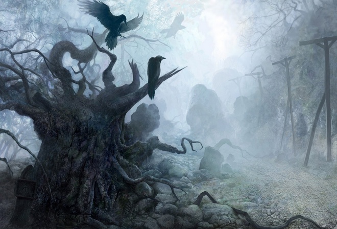 ������ �����, ������, ������