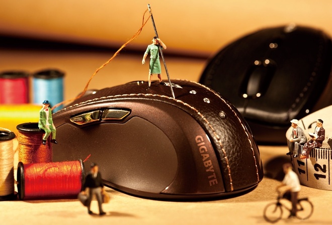 �����, ���������, �����