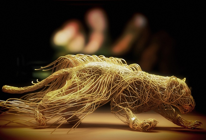 ��������, �������, �����