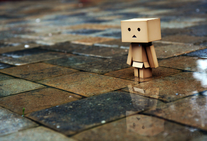 , , , , Danbo, , 