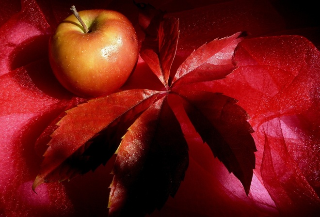 apple, , , , , , red