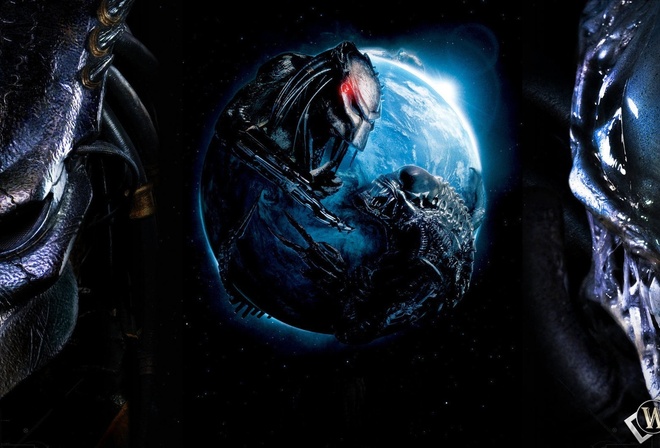 �����, ������