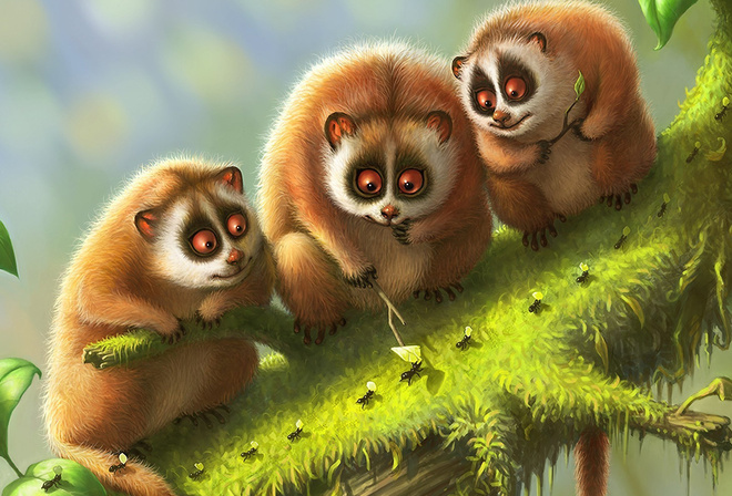 ���, ����