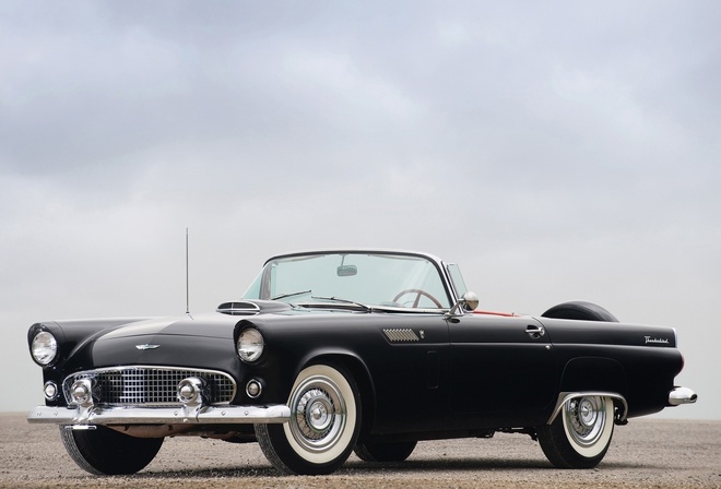 ����, ������, ����������