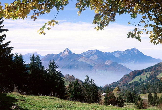 ���, ����, �������