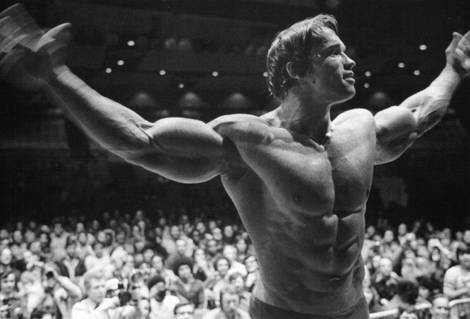 arnold schwarzenegger,  