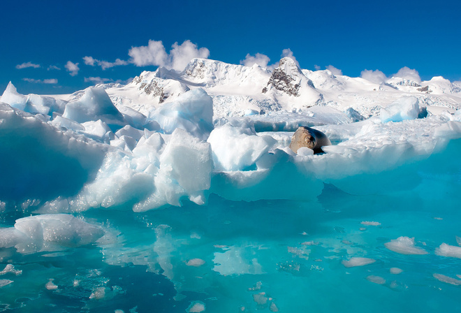 ����������, �������, �����, ����