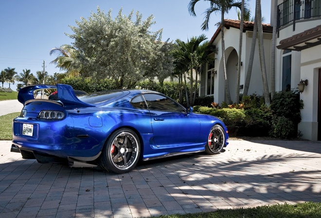 ����, �����