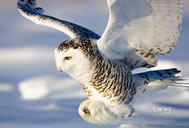 ����, �����, �����