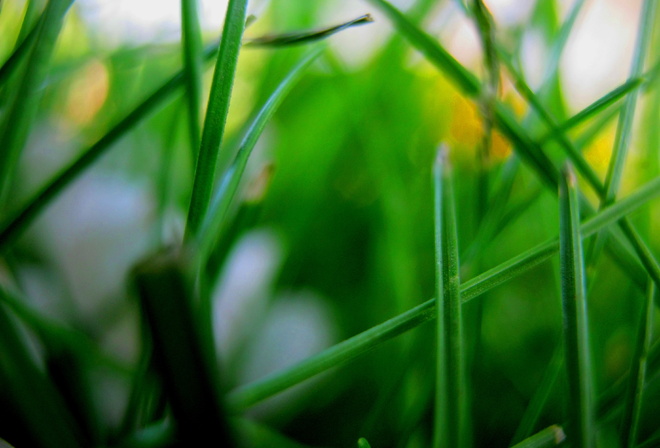 �����, ������