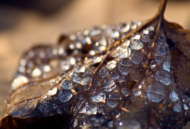 ����, �����, �����