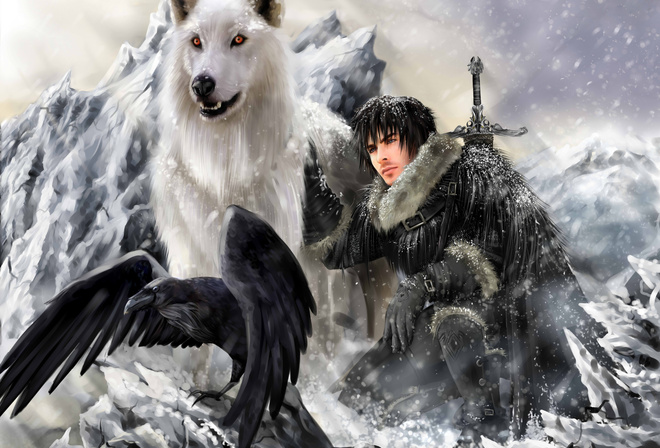The song of ice and fire, game of thrones, direwolf, john snow, ghost