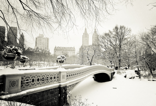 usa, bow bridge, manhattan , central park, new york city, nyc