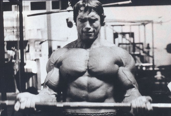 arnold schwarzenegger,  , , 