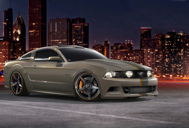 tjin edition, gt 5.0, Ford,  , , , mustang, 