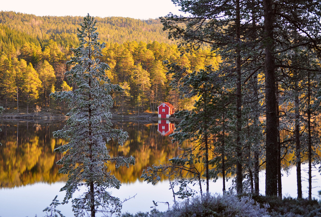 autumn, , , Norway, , , forest, , 