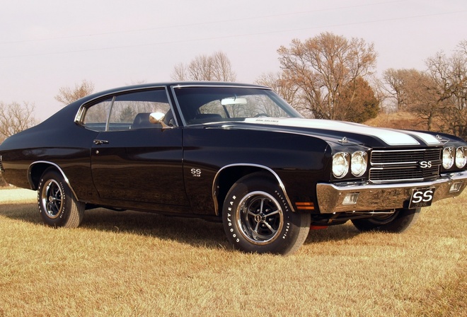 hardtop, Chevrolet, , 1970, 396, , chevelle, coupe, ss, 