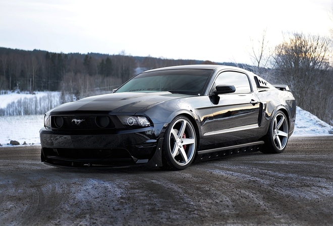 , Ford, , , , black, mustang, 