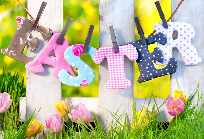 , , spring, , nature, , grass, fence, 