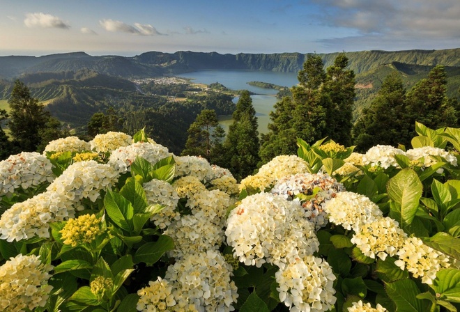 Природа, пейзаж, Lagoon of the Seven Cities - Mosteiros, Azores, Portugal гортензии, Португалия, Азорские острова