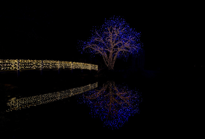 night, bridge, lights, wood, water, river, reflection, , , , , , 