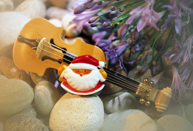 скрипка, цветы, камни, новый год, дед мороз, игрушки
