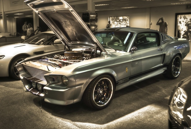 muscle, Ford, , shelby, car, , , eleanor, , gt 500, mustang