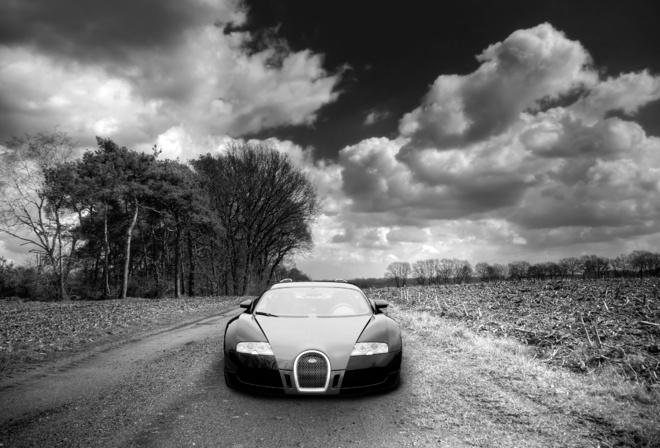 Bugatti Veyron, , , , , , , 