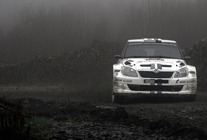 �����, �����, �����