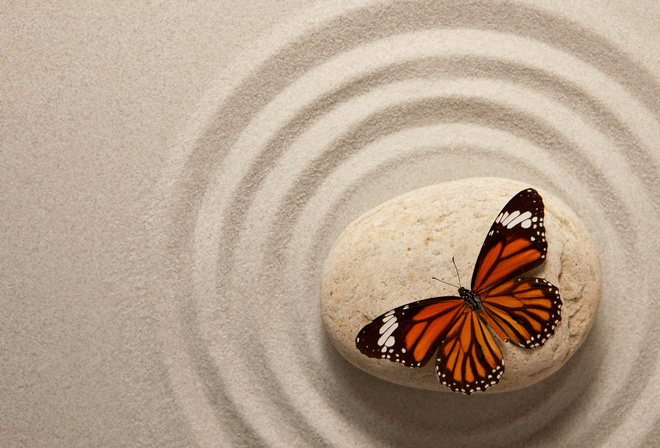 zen, stone, sand, butterfly, oriental, , 