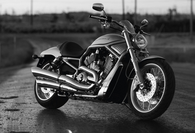 , ,  , Harley-Davidson,  , 