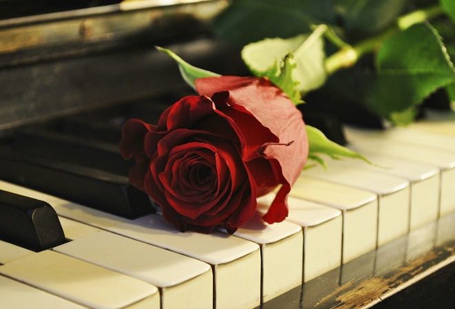 music, piano, , 