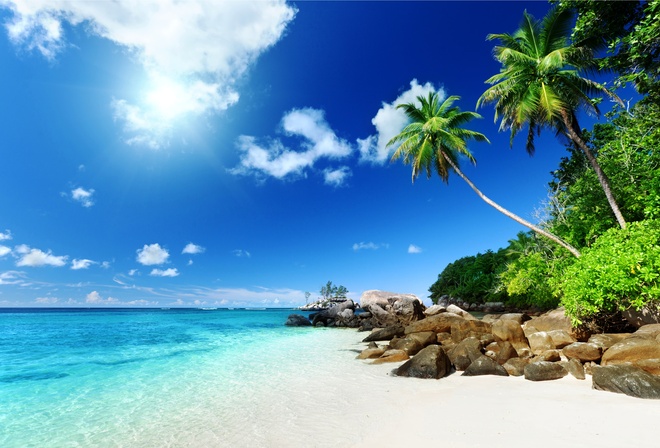 лето, summer, природа, пляж, пальмы, небо, солнце, камни, тропики