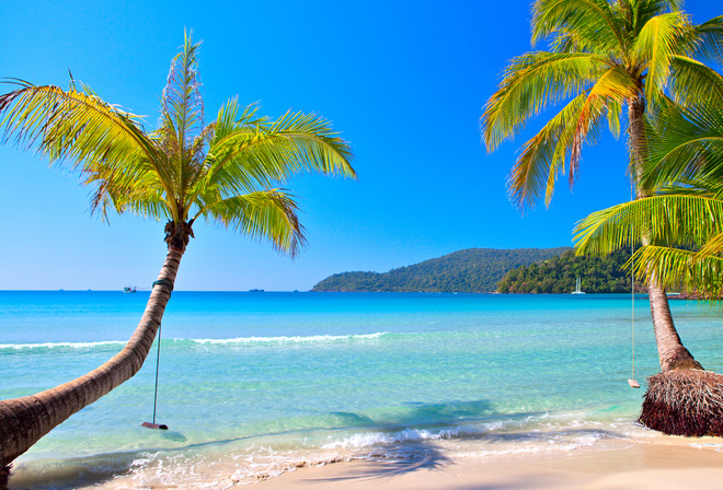 tropical, paradise, beach, coast, ocean, palm, summer, лето, рай, пляж, курорт, тропики, красиво, пальмы