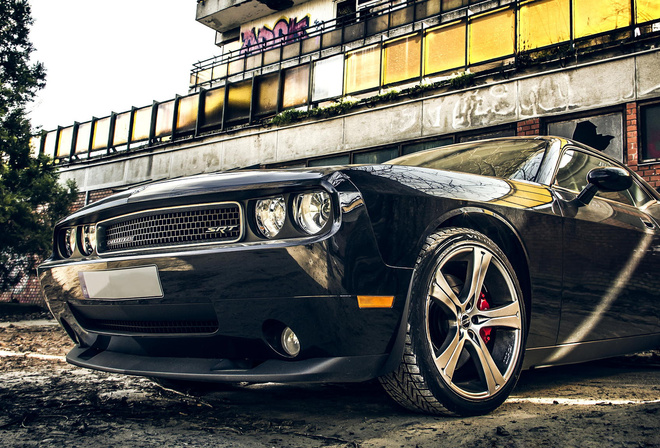 Dodge, Challenger, car, , , muscle car, 